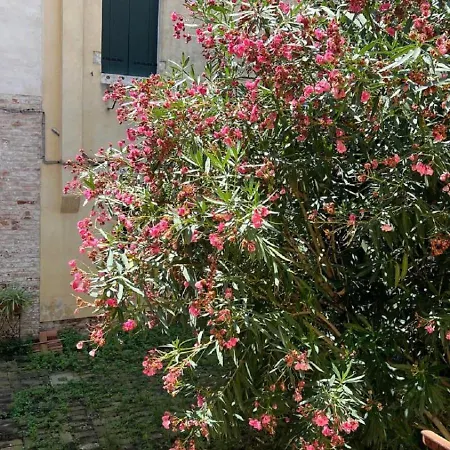 Ania Apartment Venecia Exterior foto
